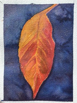 Cherry leaf