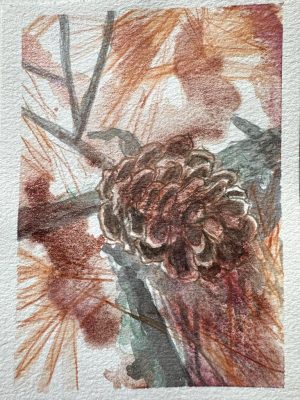 Pine cone