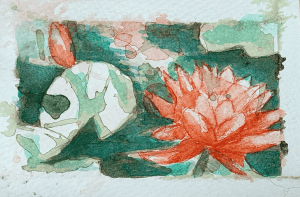 Lilypad Small 1